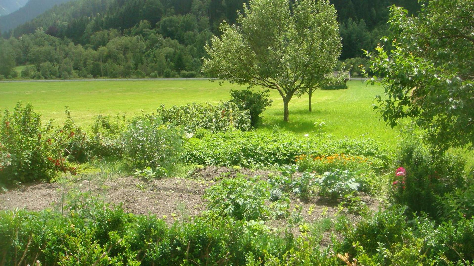 Bio-Bauernhof Obertrattenbachhof Neukirchen am Großvenediger Kültér fotó