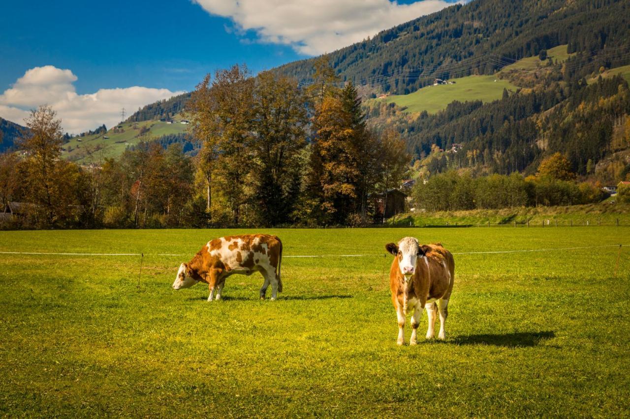 Bio-Bauernhof Obertrattenbachhof Neukirchen am Großvenediger Kültér fotó
