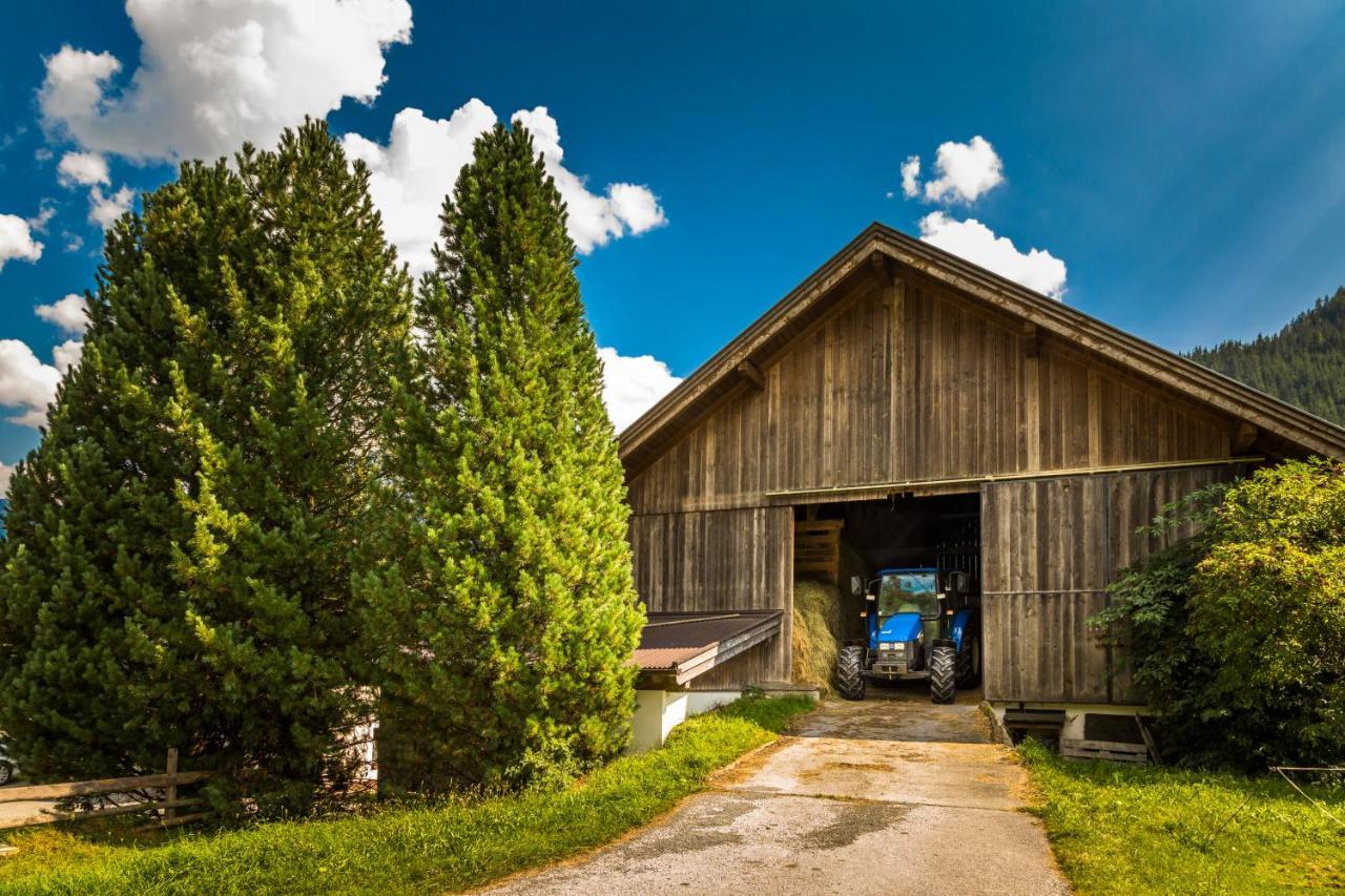 Bio-Bauernhof Obertrattenbachhof Neukirchen am Großvenediger Kültér fotó